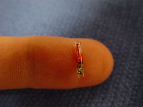 rfid chips continues|rfid implants in the hand.